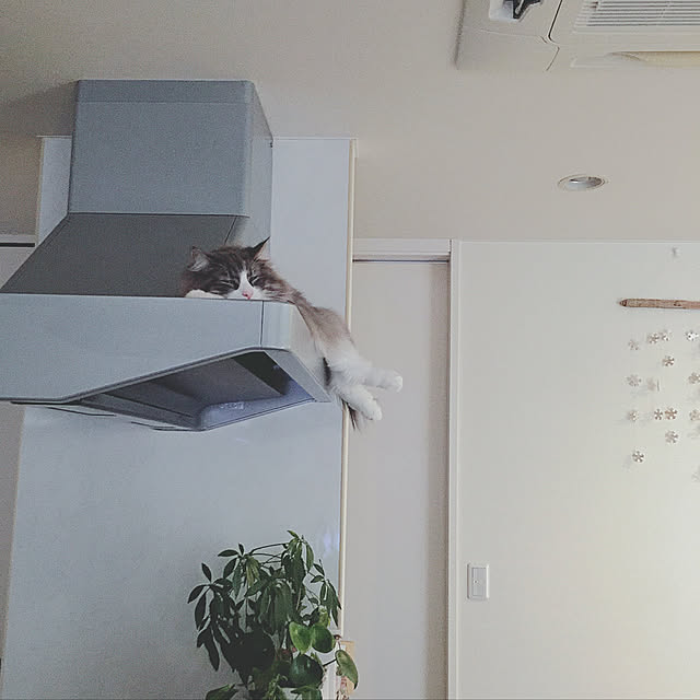 emさんの実例写真