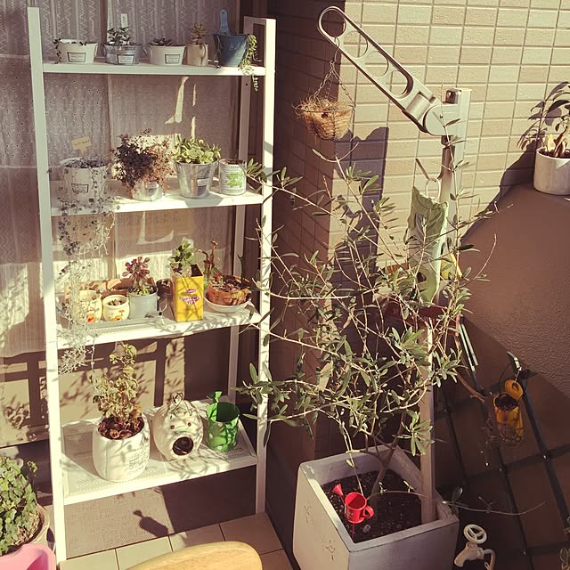 arinkoさんの実例写真