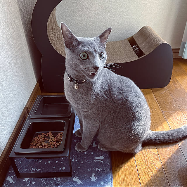 kyonさんの実例写真
