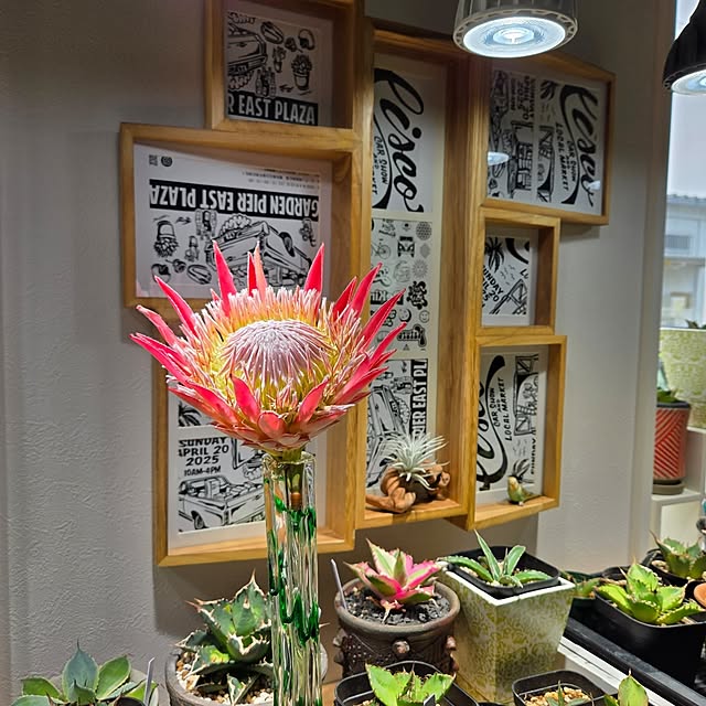nonbiri_house_さんの実例写真