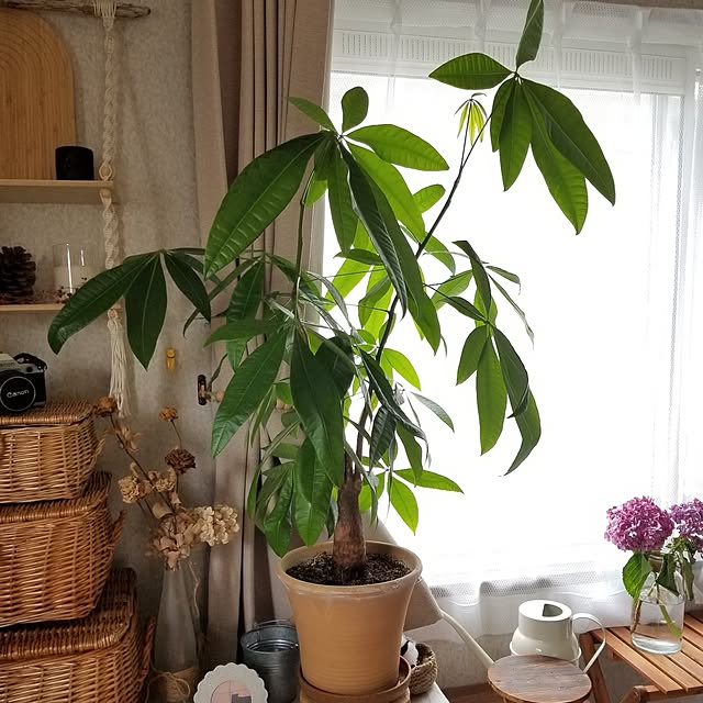 midoriさんの部屋