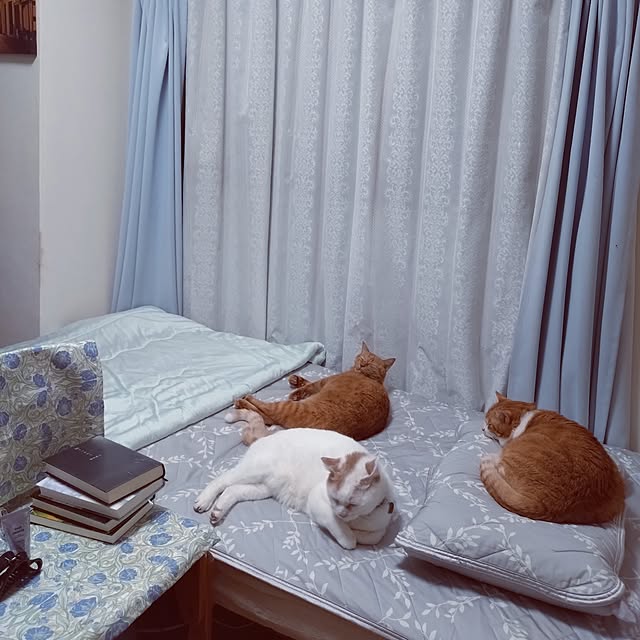 NOAHさんの実例写真