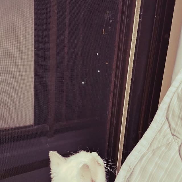 NOAHさんの部屋