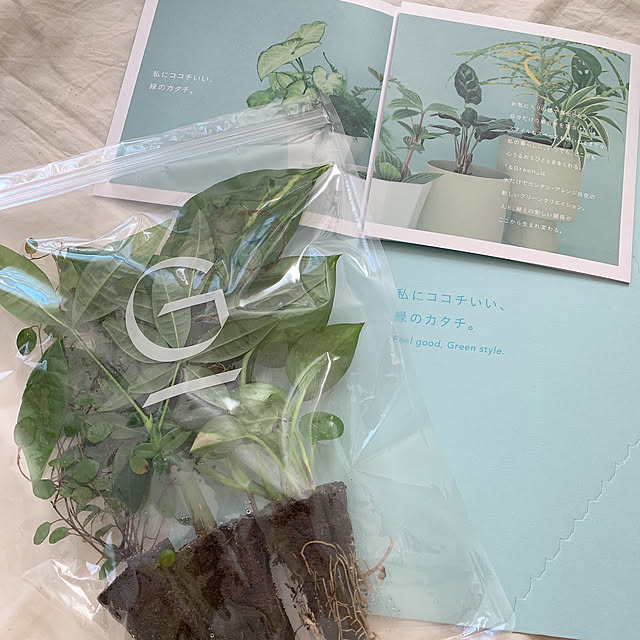 kokoさんの実例写真