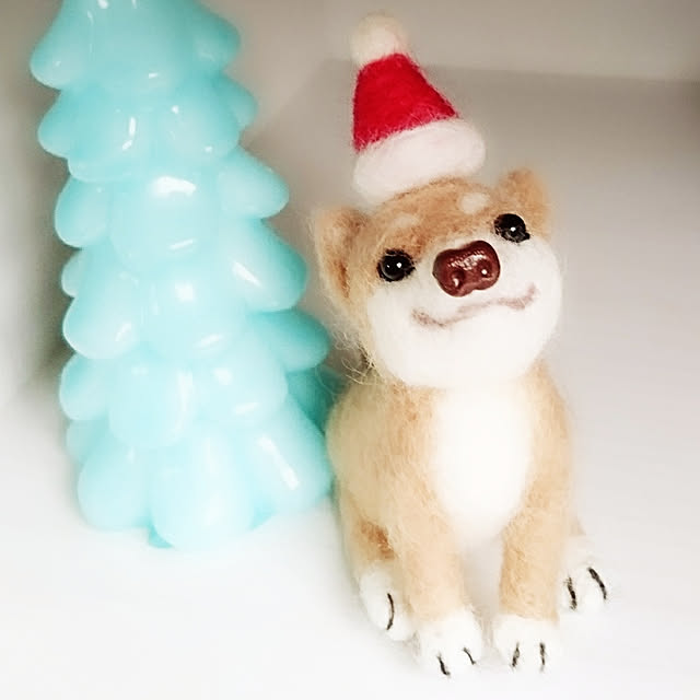 cocosorasakuさんの実例写真