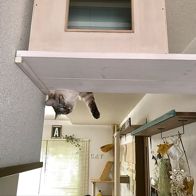 kazaneさんの実例写真
