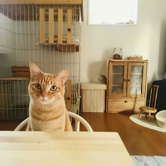 mayutan.さんの実例写真