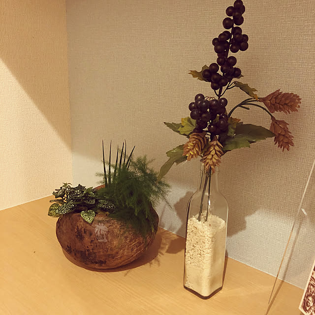 ajysさんの実例写真