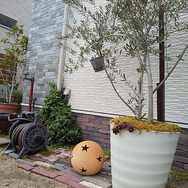 H+M+S...HappyLife...さんの実例写真