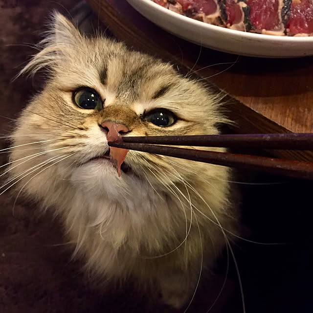 butachanさんの実例写真