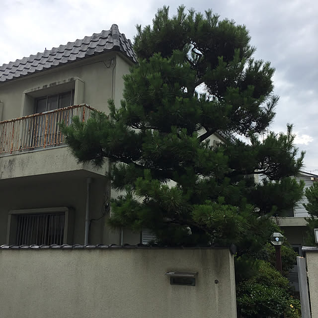 kyoto.lighthouseさんの実例写真