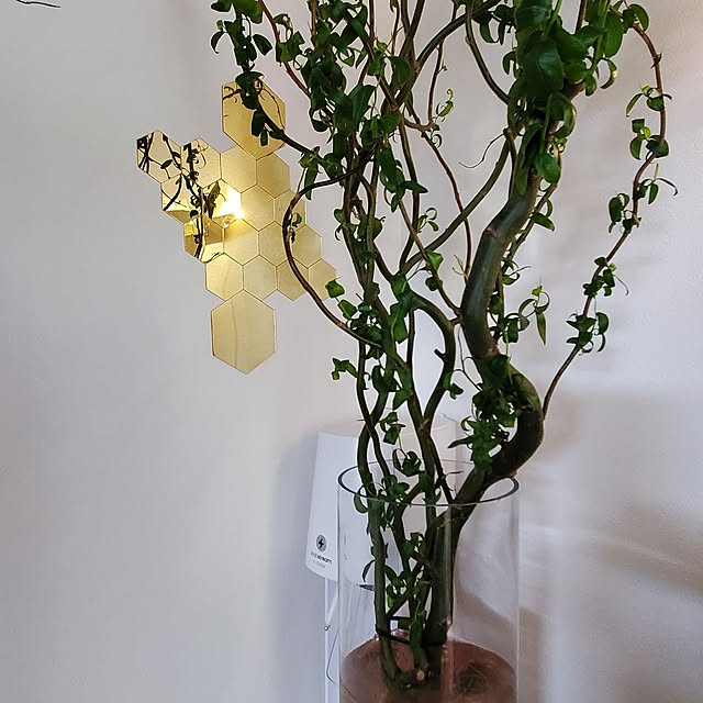 kiyomiさんの部屋