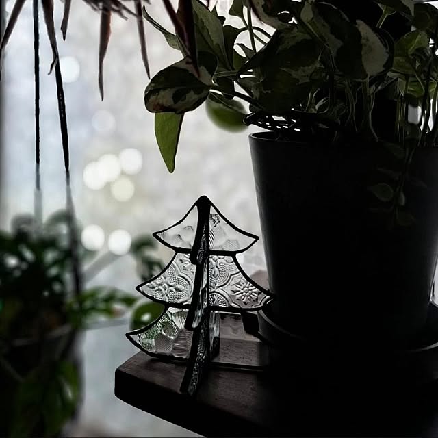 noaさんの部屋