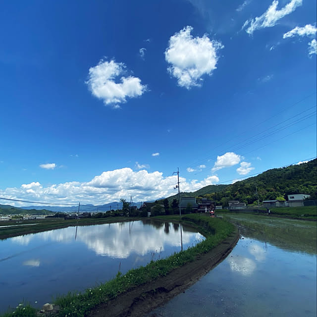 実例写真