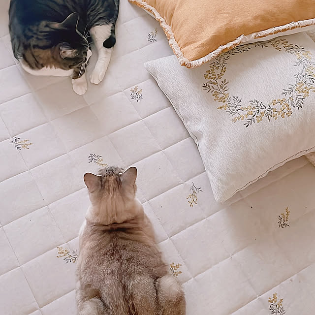 milkcocoaさんの実例写真