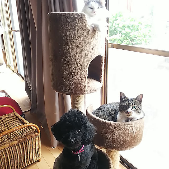 Mikiさんの実例写真