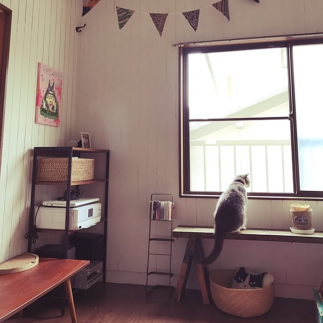 hacchiさんの実例写真