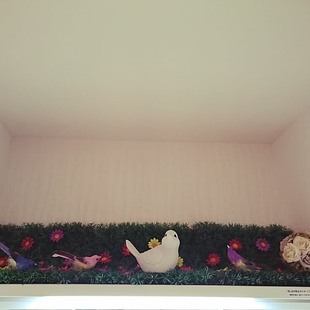 PUNKYさんの実例写真