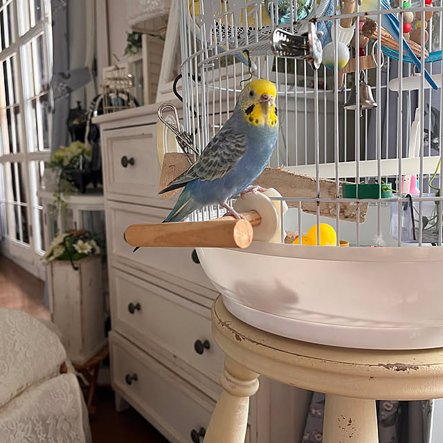 Atsukoさんの部屋