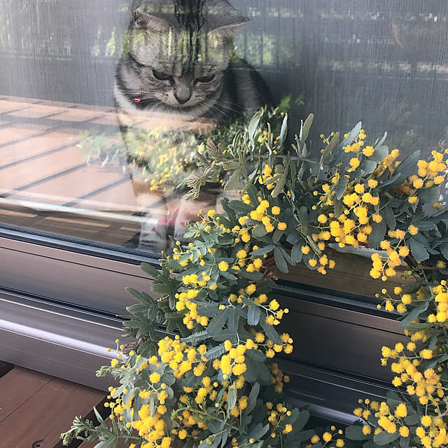 Aさんの実例写真