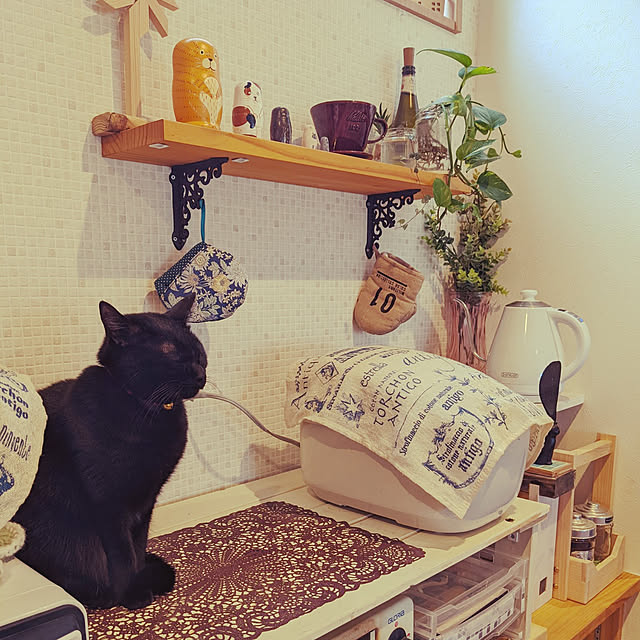 jacky-m-さんの実例写真