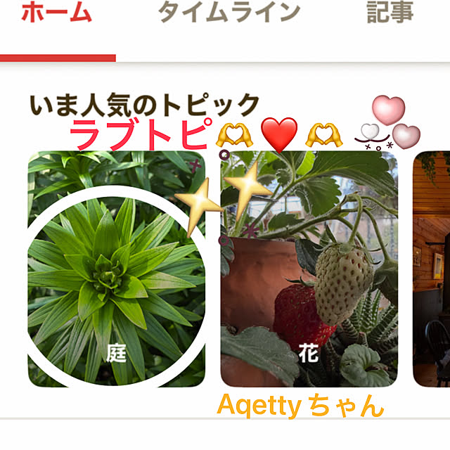 実例写真