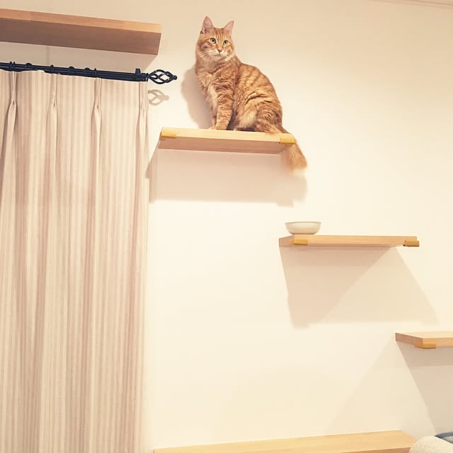 pomuriさんの実例写真