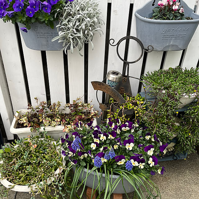 chatnoirさんの実例写真