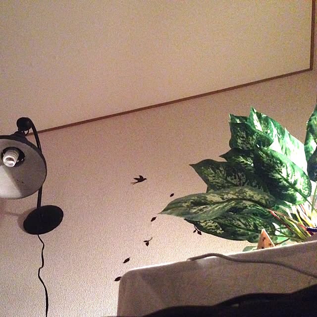 ベッド周りのインテリア実例 - 2013-12-22 01:19:45