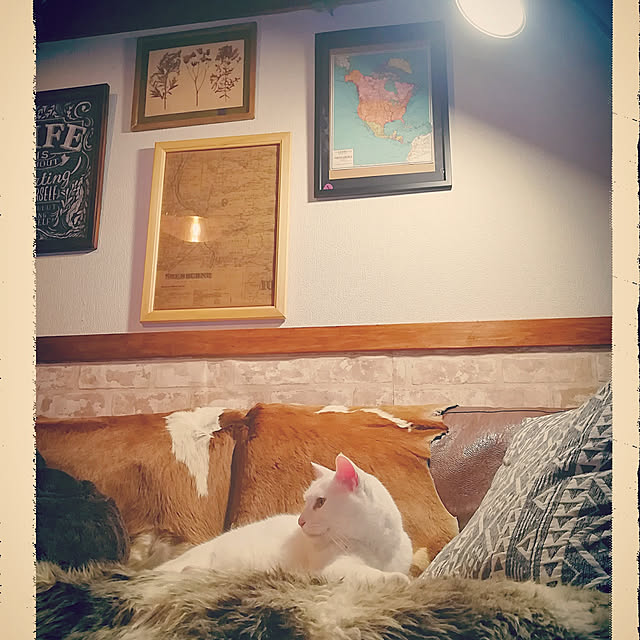 Lilyさんの実例写真