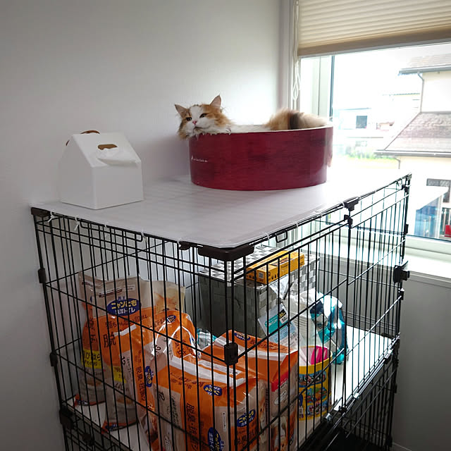 piiico_coさんの実例写真
