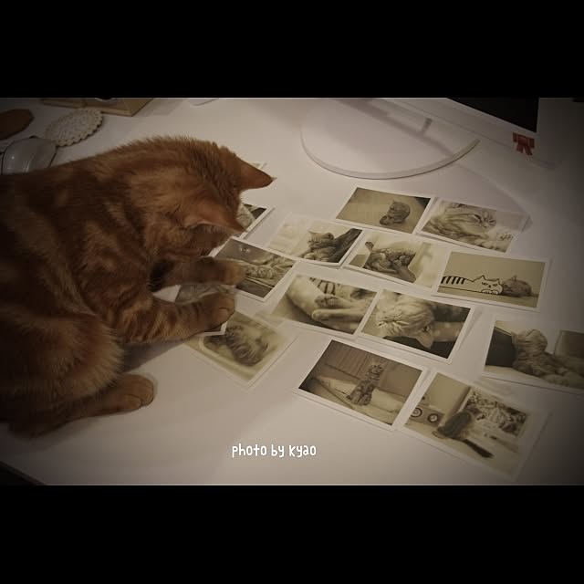 kyaoさんの実例写真