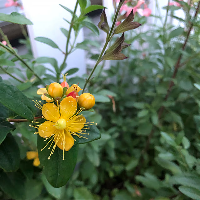 nakabaさんの実例写真
