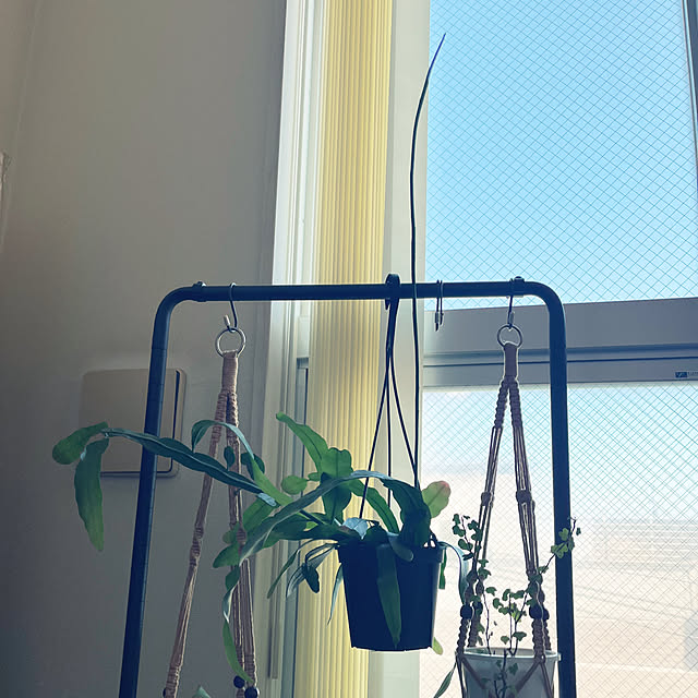 khaiさんの部屋