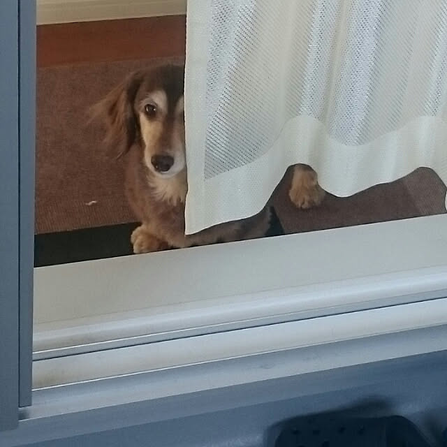 chocococoaさんの実例写真