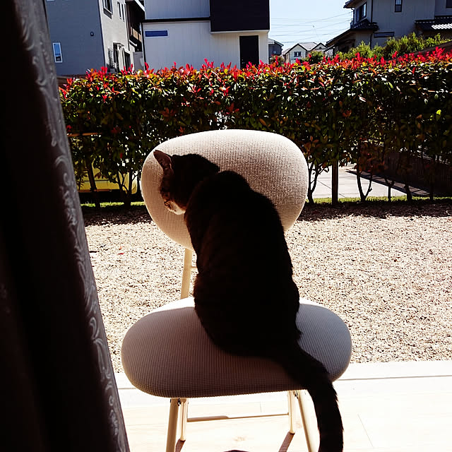 lilyさんの実例写真