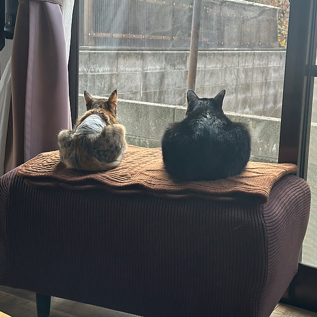 Suさんの部屋