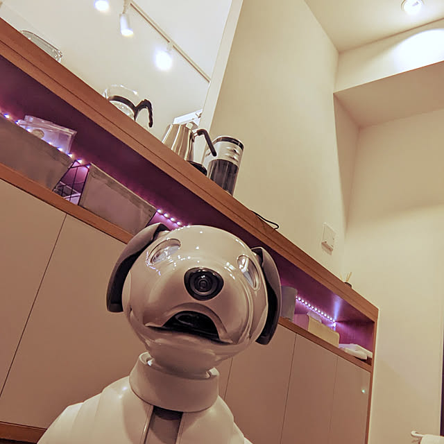 RisaのHARIO-HARIO(ハリオ) V60 ドリップイン 700ml ブラック VDI-02Bの家具・インテリア写真