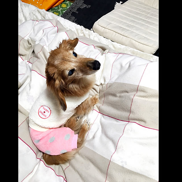 asako_geekさんの実例写真
