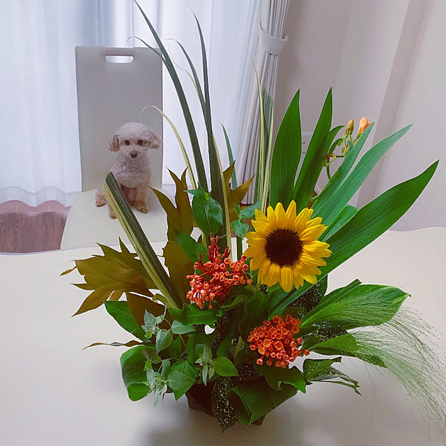 Kasumiさんの部屋