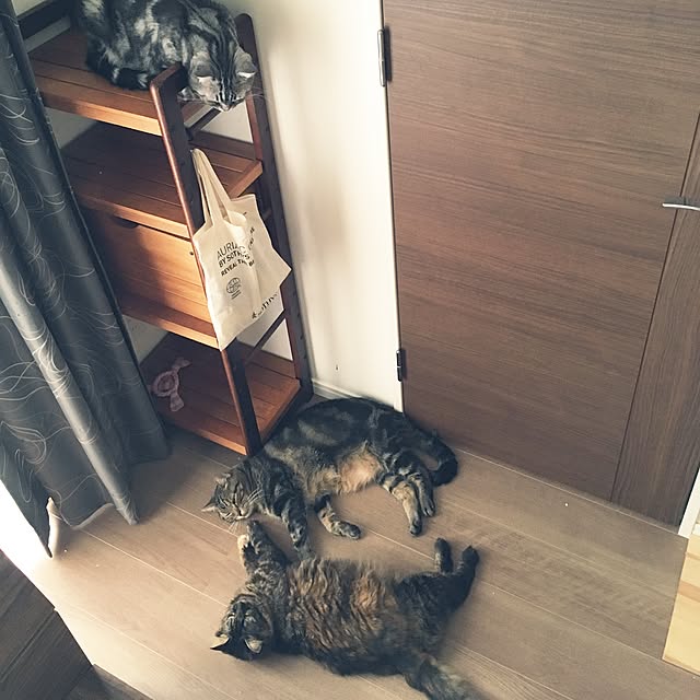 mikomaruさんの実例写真