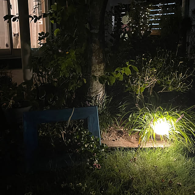 nobikoさんの部屋