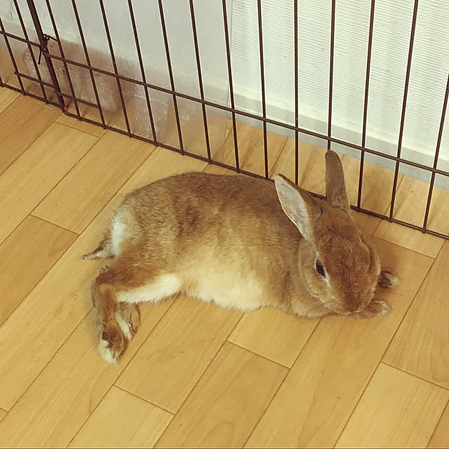823smileさんの実例写真
