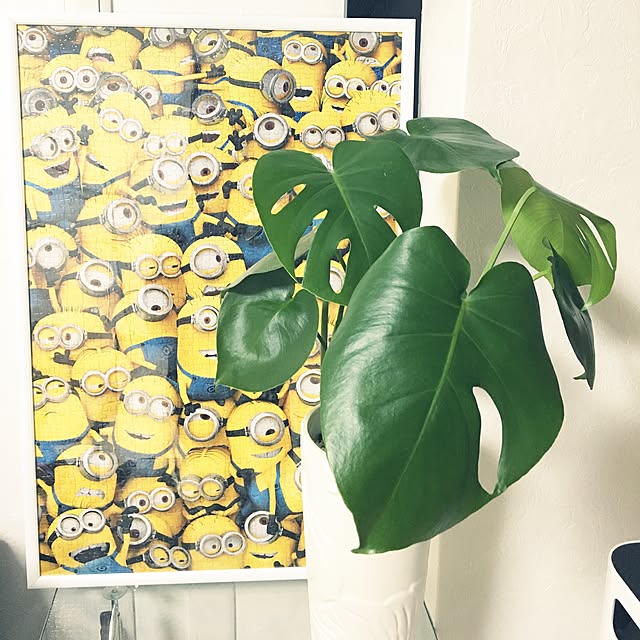 yamasさんの実例写真