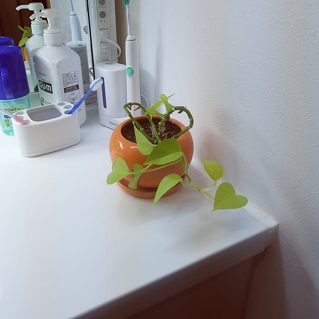miyocoさんの実例写真