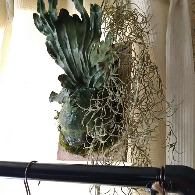 2menmamaさんの部屋