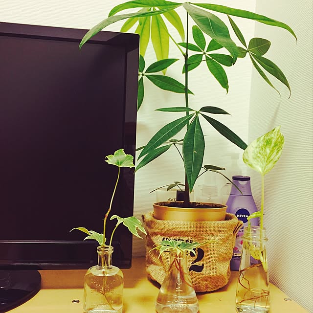 moryayaさんの実例写真