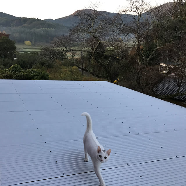 sakurasakuさんの実例写真