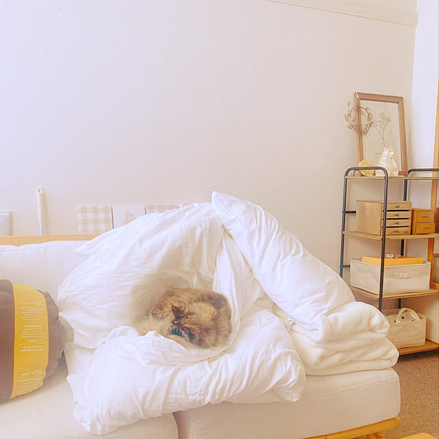 privateroomさんの実例写真