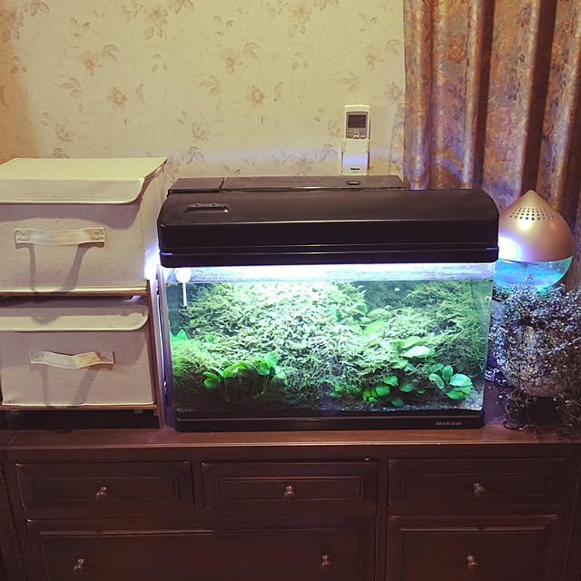 Rさんの実例写真